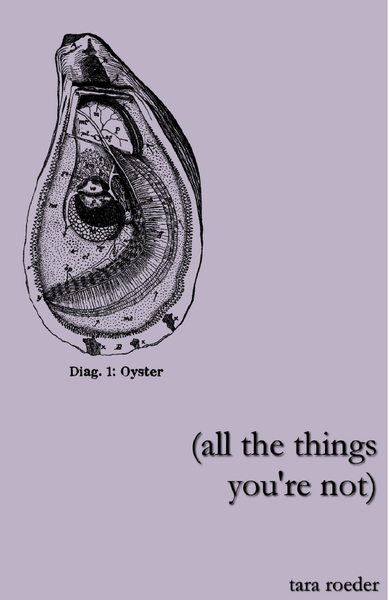(all the things you're not) | Tara Roeder