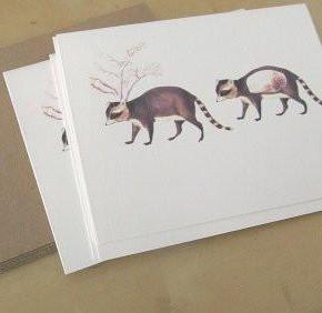 strange seed notecards, set of 5 (raccoon)
