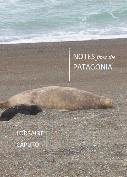 Notes from the Patagonia | Lorraine Caputo