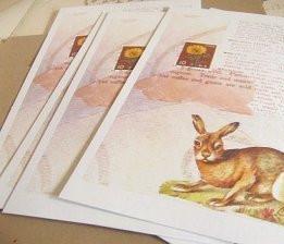 postcards / set of 5 / rabbit