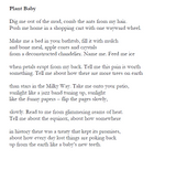 Swan As A Verb | Sheila Dong