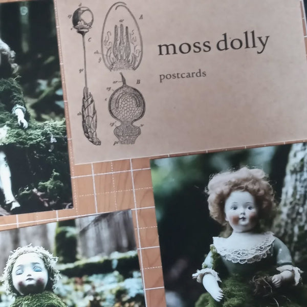 moss dolly postcards | set of 6