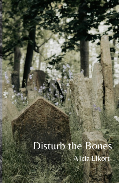 Disturb the Bones | Alicia Elkort