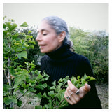 The Least Gesture | Diana V. Almeida