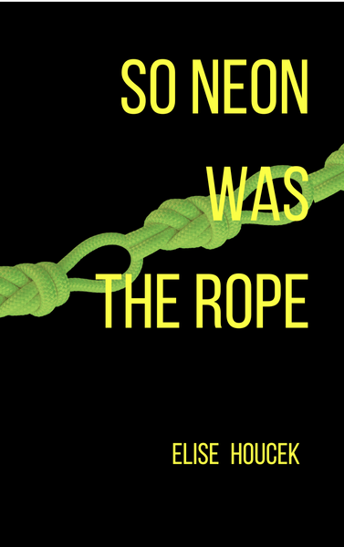 So Neon Was the Rope | Elise Houcek