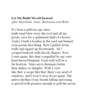 Instars | Deborah-Zenha Adams