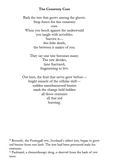 The Cemetery Cure | Miranda Schmidt