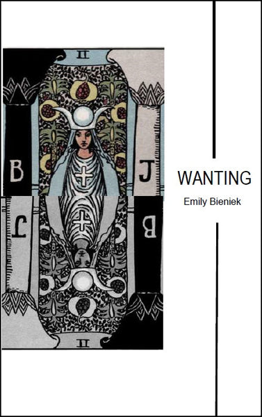 30 Author Discount | WANTING |  Emily Bieniek