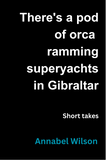 12 Author Discount | There's a pod of orca ramming superyachts in Gibraltar | Annabel Wilson