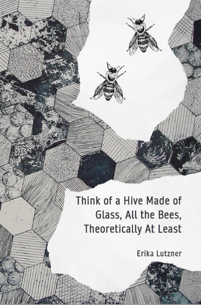 Think of a Hive Made of Glass, All the Bees, Theoretically At Least | Erika Lutzner