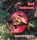 Red Delicious | Lauren WB Vermette