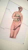 radio ocularia no. 4  | original collage