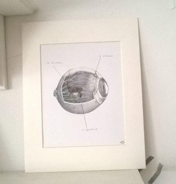 radio ocularia no. 2  | original collage