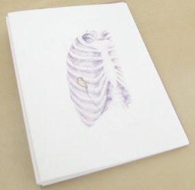 radio ocularia series notecards (lungs)