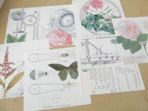botanica automata mini-print set  (limited edition) / kristy bowen