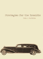 Strategies for the Bromidic / Erin J. Mullikin