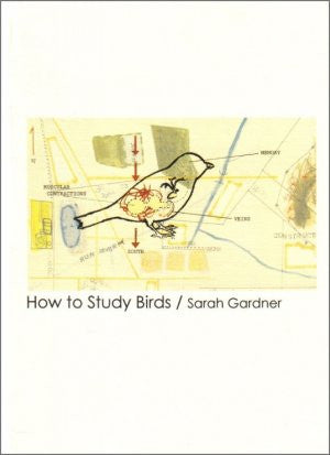 Sarah Gardner / How to Study Birds