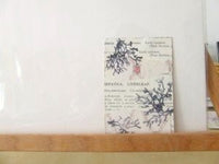 ACEO: "taken for a corolla"