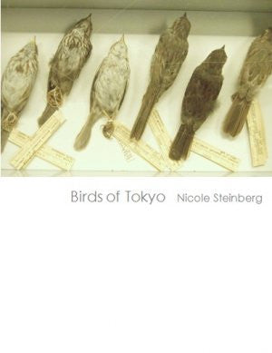 Nicole Steinberg / Birds of Tokyo