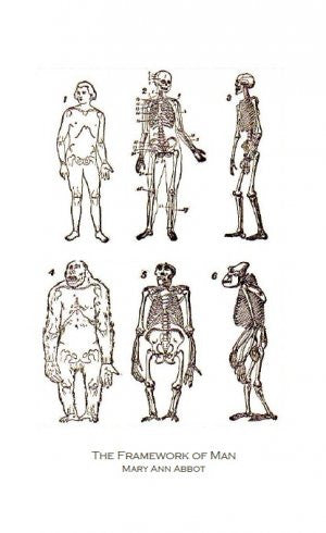 The Framework of Man: Found Poems / Mary Ann Abbott