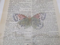 dictionary collage no.1