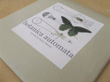botanica automata mini-print set  (limited edition) / kristy bowen