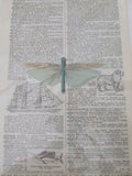 dictionary collage no.12