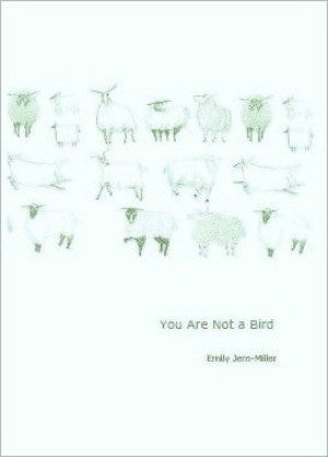 you are not a bird / Emily Jern-Miler