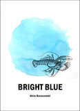 Bright Blue | Alicia Banaszewski