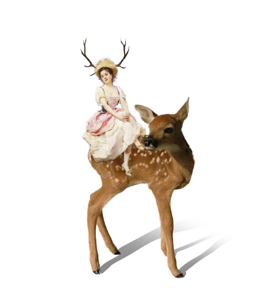Catalogue Series-Deer Woman Print