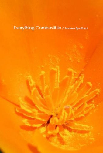 Everything Combustible / Andrea Spofford