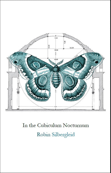 In the Cubiculum Nocturnum |  Robin Silbergleid