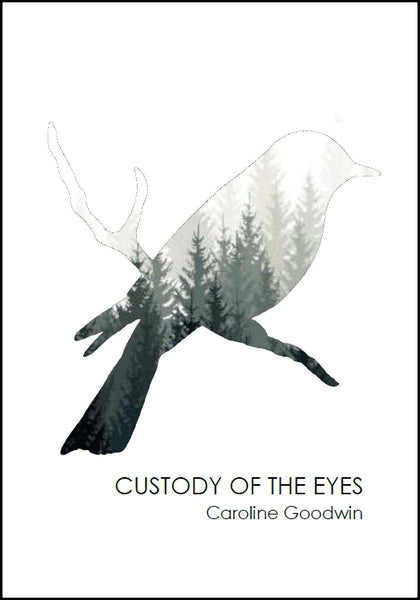 Custody of the Eyes |  Caroline Goodwin