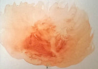 Flower Series Painting No. 2