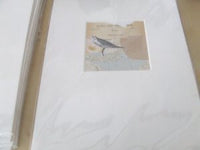 flight collage no.5