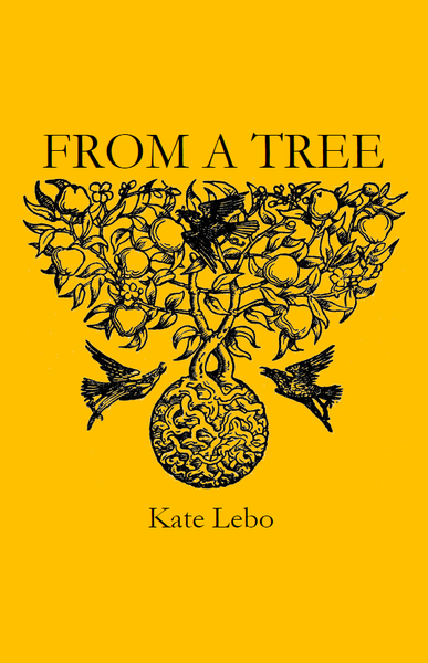 From A Tree |  Kate Lebo