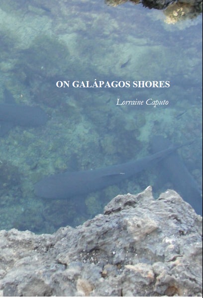 ON GALÁPAGOS SHORES |  Lorraine Caputo