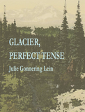 Glacier, Perfect Tense |  Julie Gonnering Lein