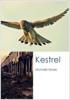 Kestrel / Michelle Reale