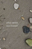 Little Hates | Laura Davenport