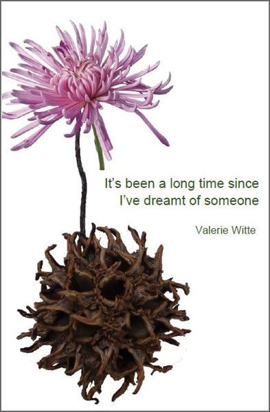 It's been a long time since I've dreamt of someone | Valerie Witte