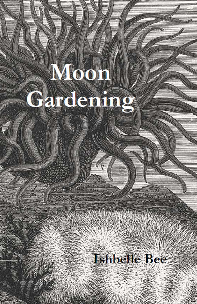 Moon Gardening |  Ishbelle Bee