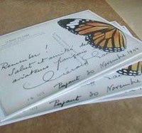 postcards / set of 5 / monarch