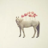 Catalogue Series-Horse Print