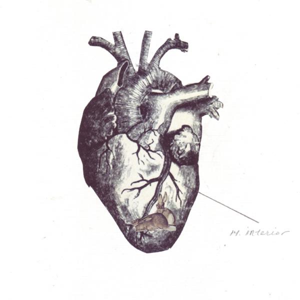 radio ocularia print | heart