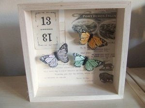 butterfly trio shadowbox / assemblage