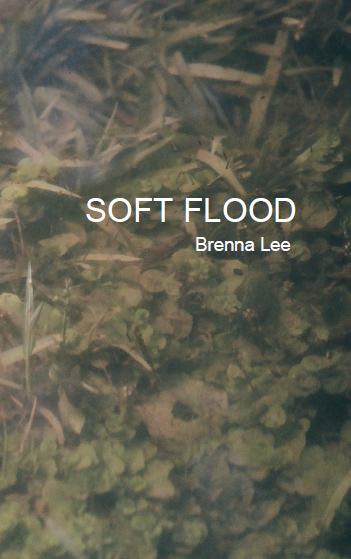 Soft Flood | Brenna Lee