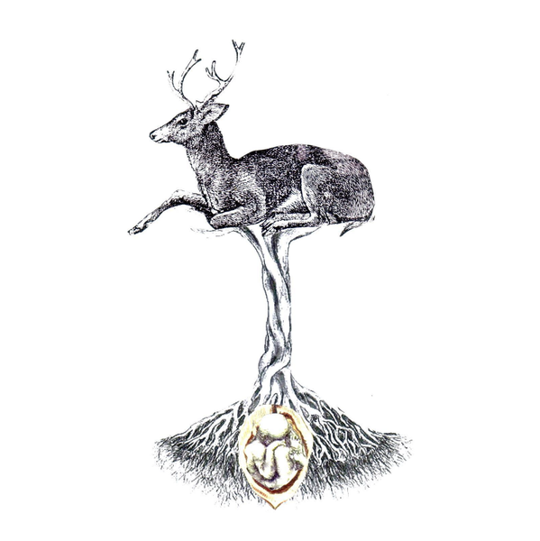 strange seed collage print: deer