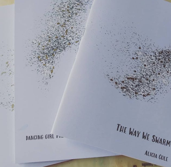 The Way We Swarm |  Alicia Cole