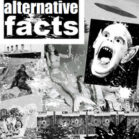 alternative facts |  Kristy Bowen